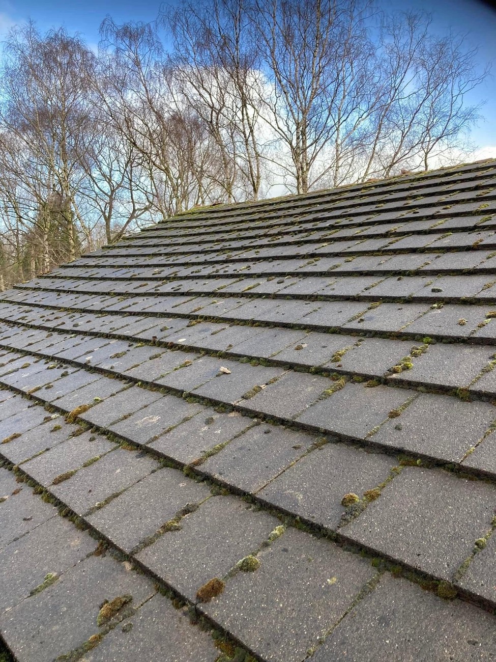 Moss-covered worn grey tiled roof before the job